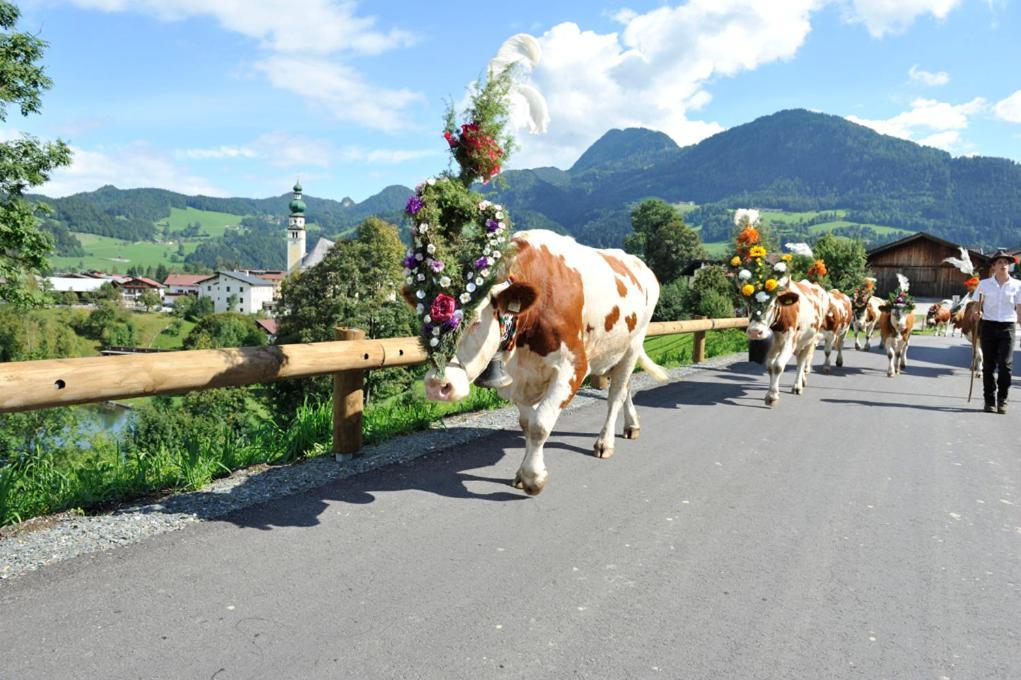Alpapart Schneider Alpbach Kültér fotó