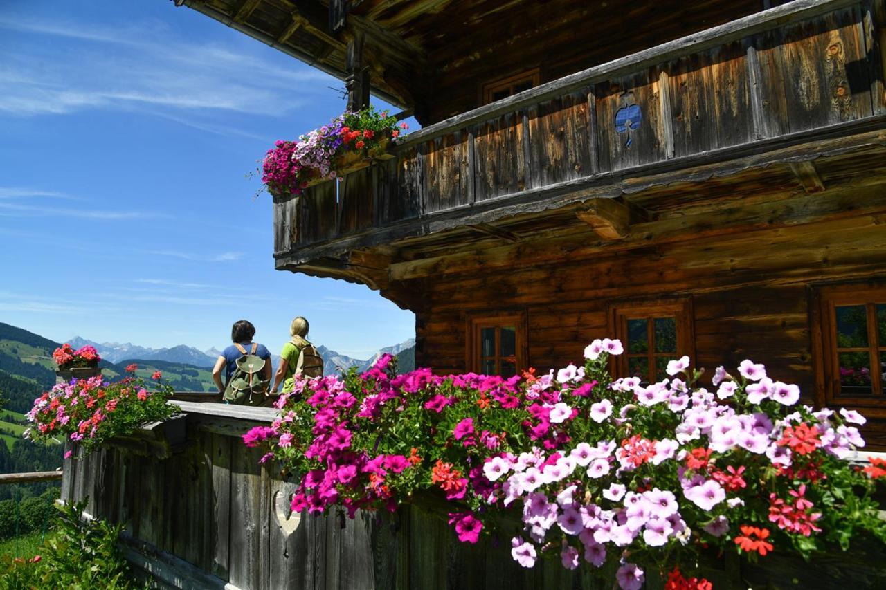 Alpapart Schneider Alpbach Kültér fotó