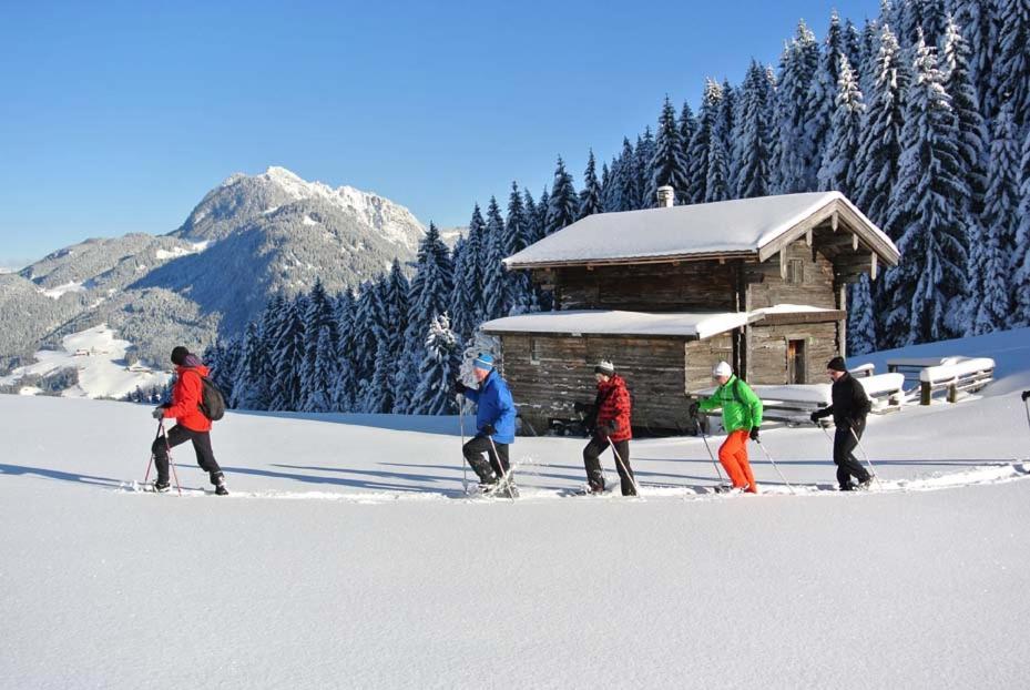 Alpapart Schneider Alpbach Kültér fotó