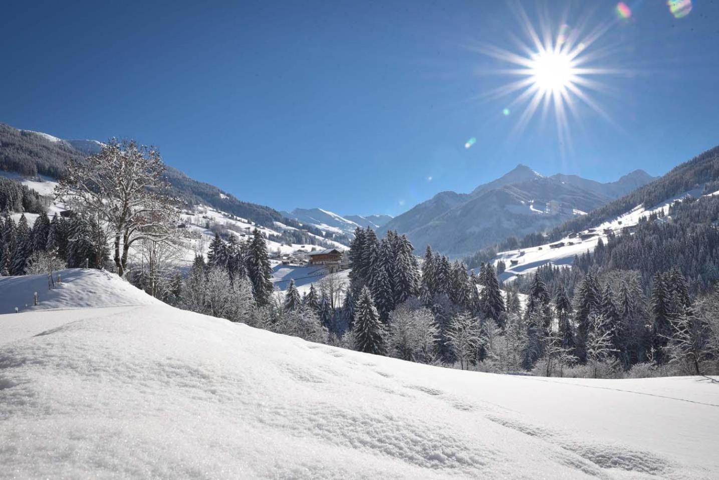 Alpapart Schneider Alpbach Kültér fotó