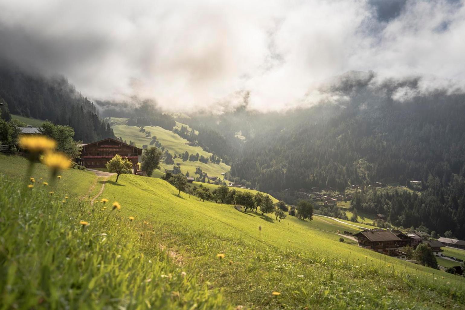 Alpapart Schneider Alpbach Kültér fotó